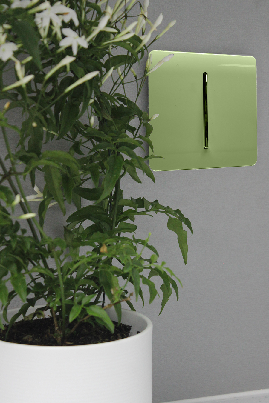 Moss Green Wiring Accessories Trendi Decorative Screwless Moss Green Wiring Accessories Trendi Decorative Screwless
